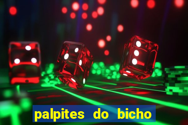 palpites do bicho no celular